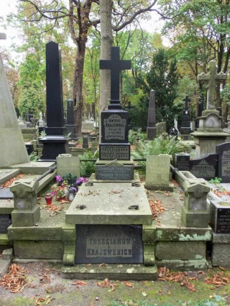 Zdjęcie grobu: Eugenia Strzelecka