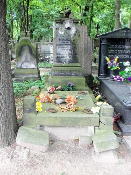 Zdjęcie grobu Franciszek Malczyk (1)