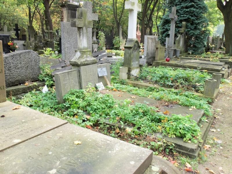 Zdjęcie grobu Maria Yumanowicz (1)