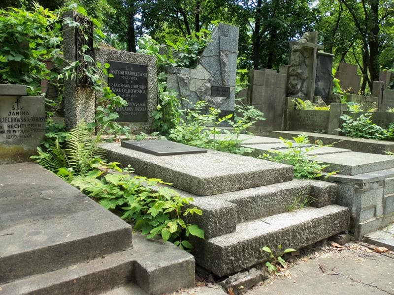 Zdjęcie grobu Aniela Anna Jurecka (1)