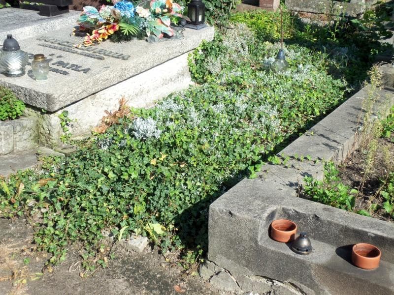 Zdjęcie grobu Anonim (1)