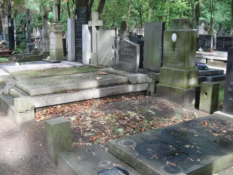 Zdjęcie grobu: Franciszek Rzepecki