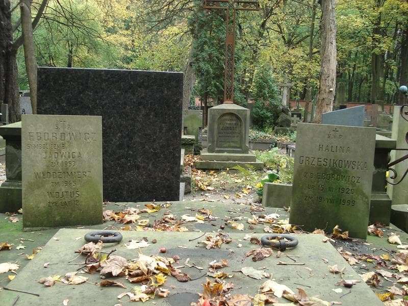 Zdjęcie grobu Włodzimierz Eborowicz (2)