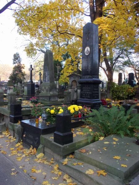 Zdjęcie grobu Stanisław Czyżewski (1)