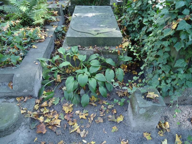 Zdjęcie grobu: Henryk Dąbrowski