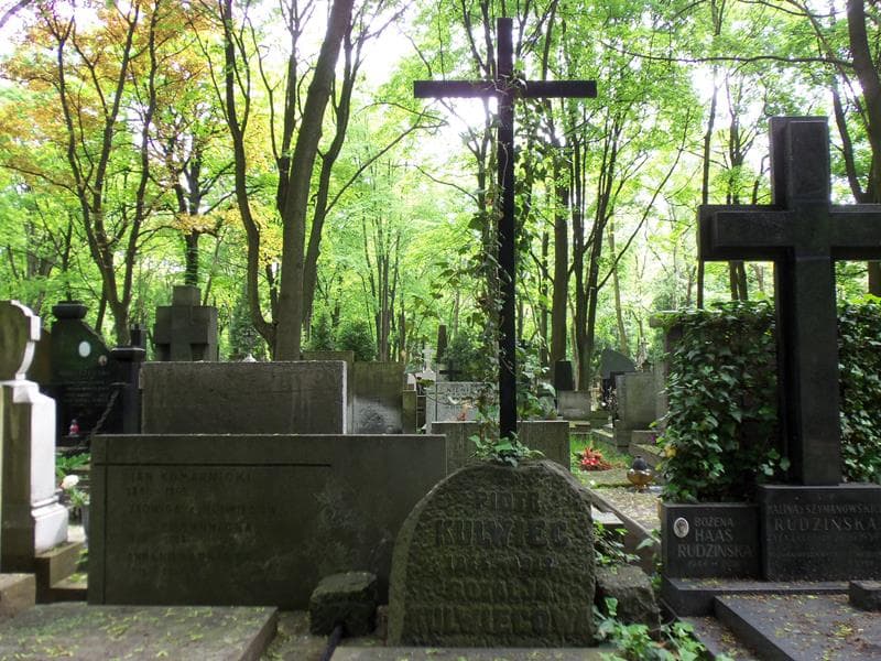 Zdjęcie grobu Jerzy Waszkiewicz (2)