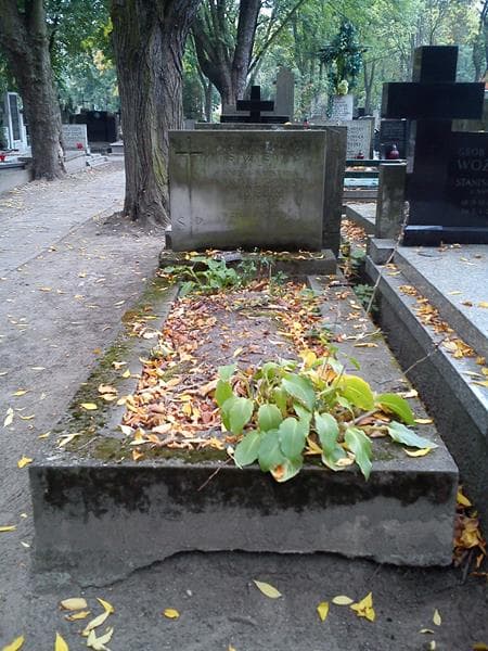 Zdjęcie grobu Wacława Jadwiga Książkiewicz (1)
