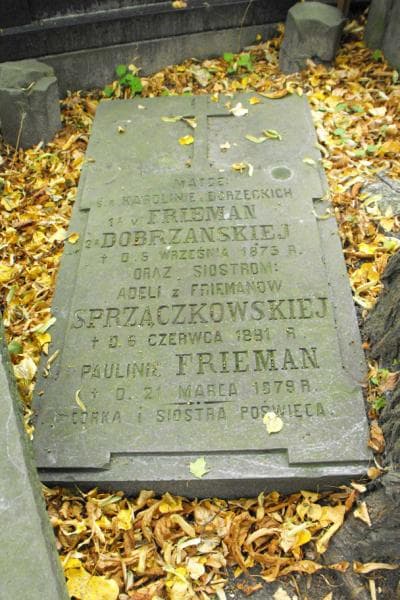 Zdjęcie grobu Paulina Frieman (2)