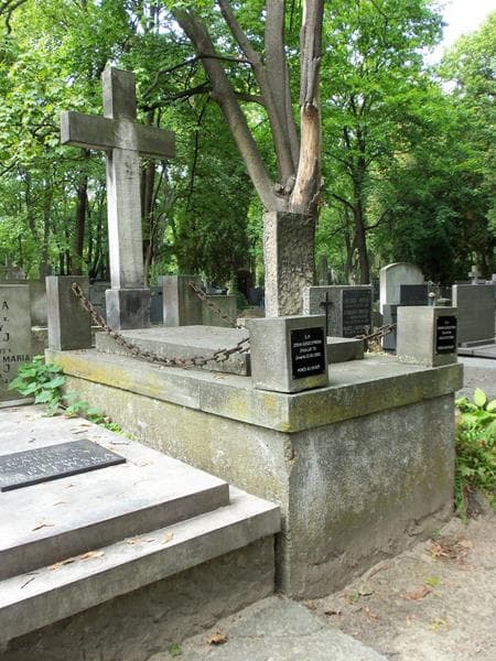 Zdjęcie grobu Zofia Goszczyńska (1)