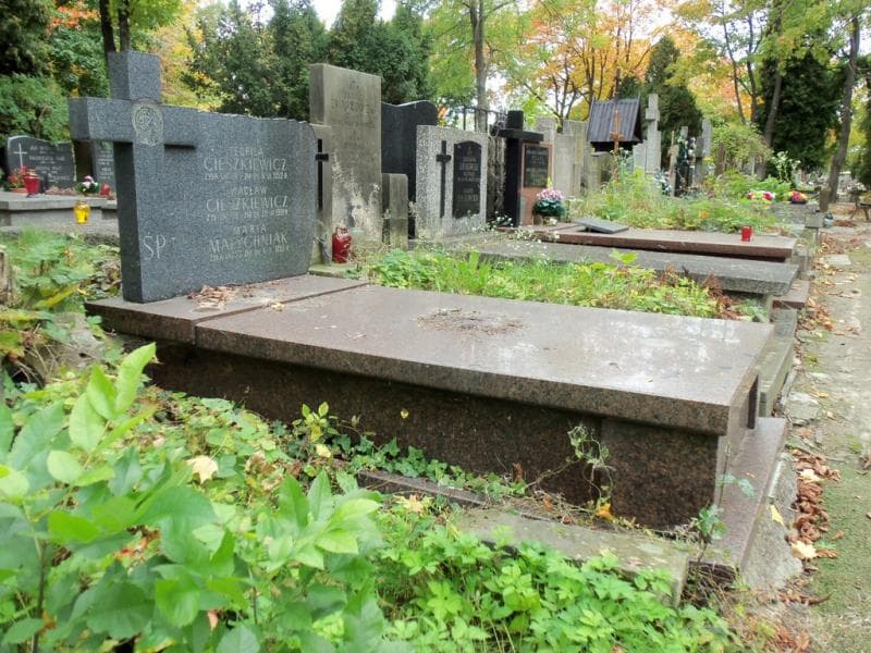 Zdjęcie grobu Teofila Cieszkiewicz (1)