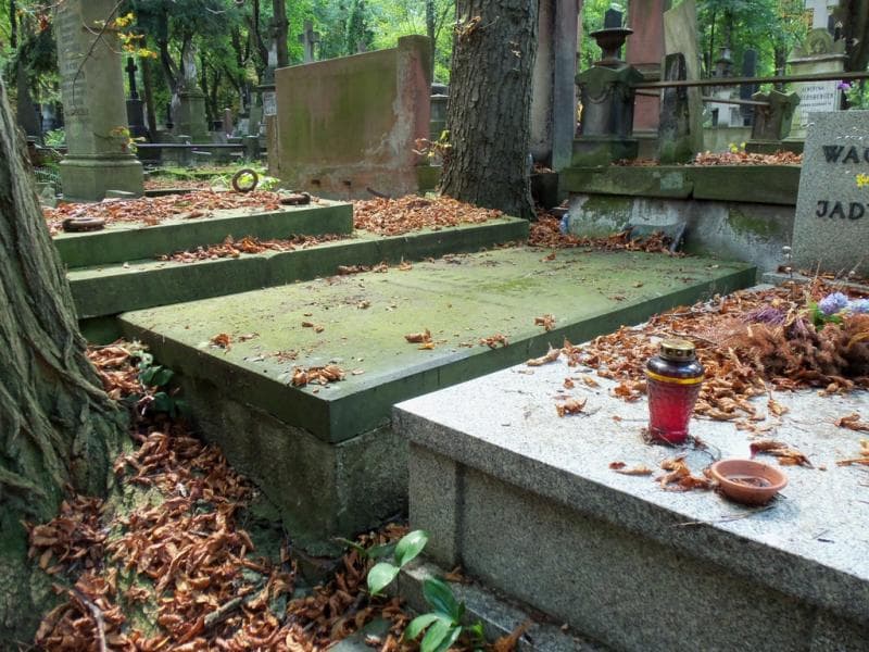 Zdjęcie grobu Karol Koźmiński (1)