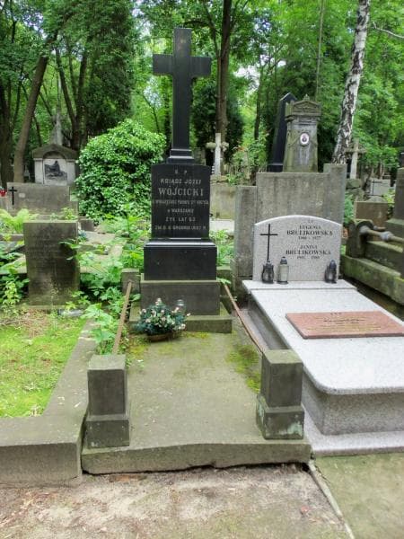 Zdjęcie grobu: Józef Wójcicki