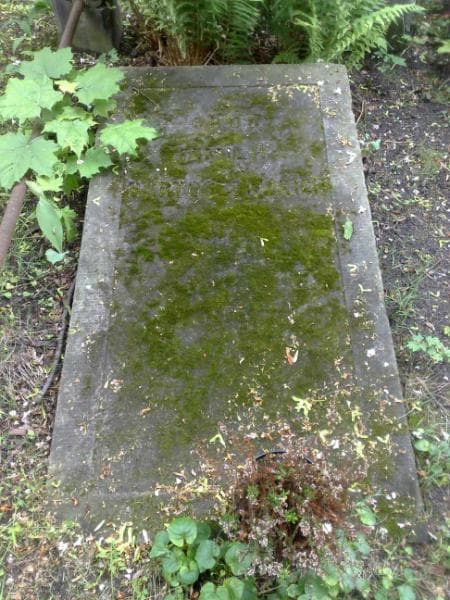 Zdjęcie grobu Bartoszewscy (1)