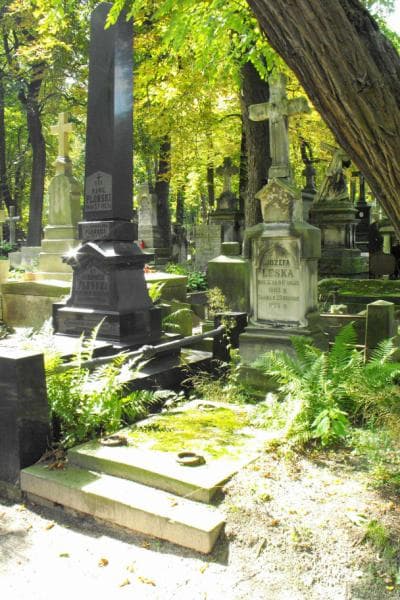 Zdjęcie grobu Józefa Leska (1)