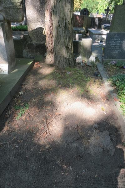 Zdjęcie grobu Pole Grobowe (1)