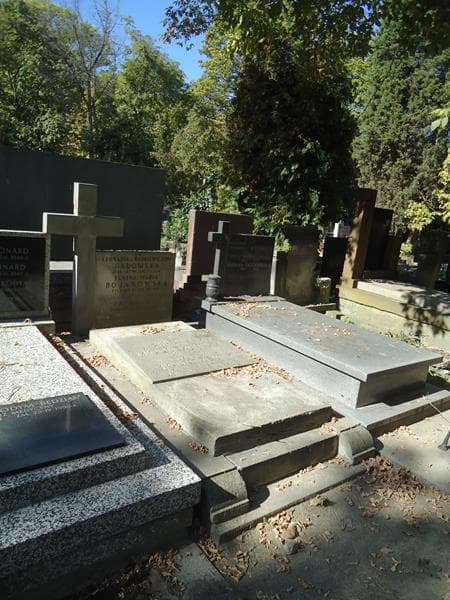 Zdjęcie grobu Janina Maria Bojanowska (1)