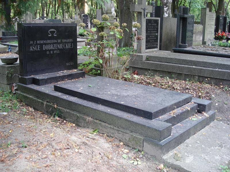 Zdjęcie grobu: Aśka Dobrzeniecka