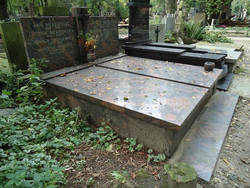 Zdjęcie grobu Irena Bartoś (1)