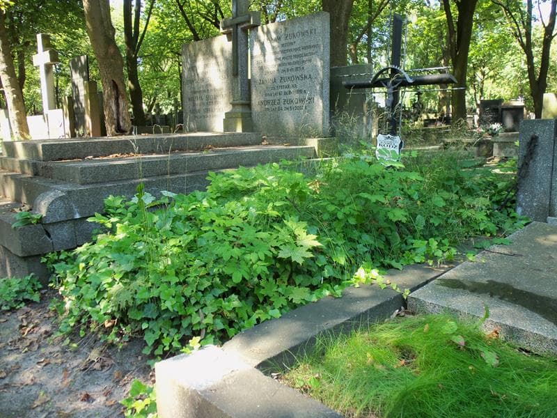 Zdjęcie grobu Paweł Kodź (1)