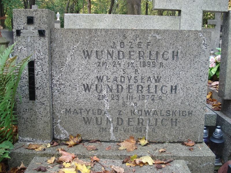 Zdjęcie grobu Władysław Wunderlich (2)