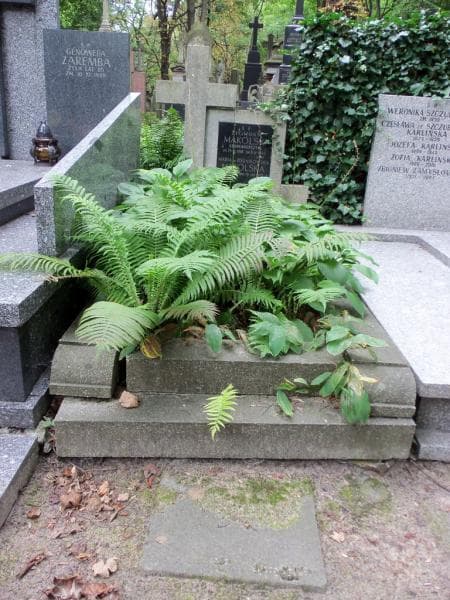 Zdjęcie grobu: Zygmunt Makólski