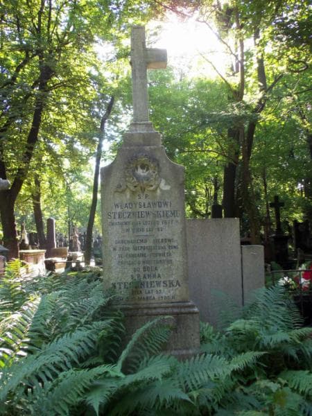 Zdjęcie grobu Józef Stęczniewski (2)