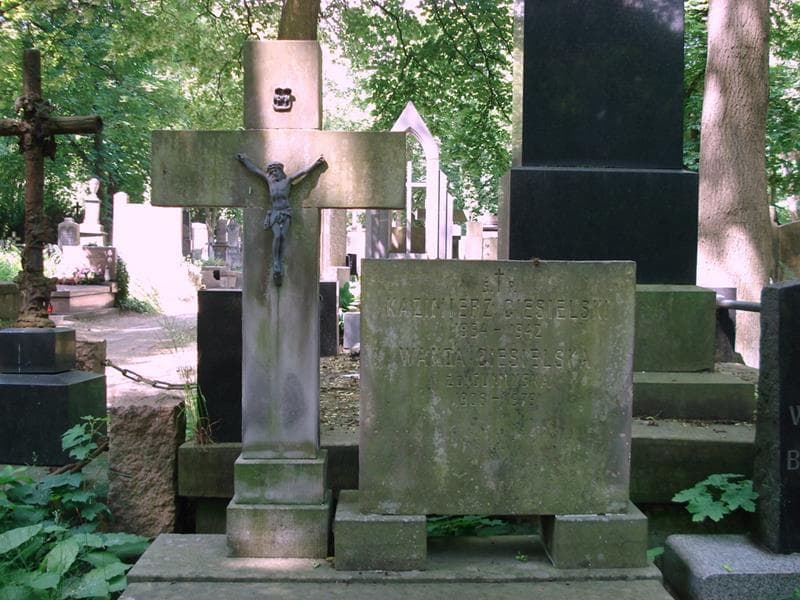 Zdjęcie grobu Wanda Ciesielska (2)