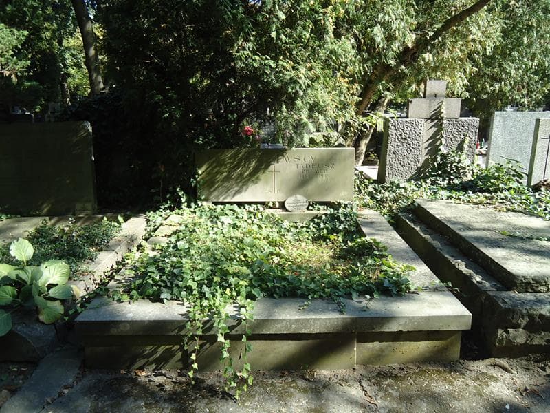 Zdjęcie grobu: Maria Niemojewska