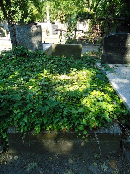 Zdjęcie grobu: Stanisława Tuszyńska