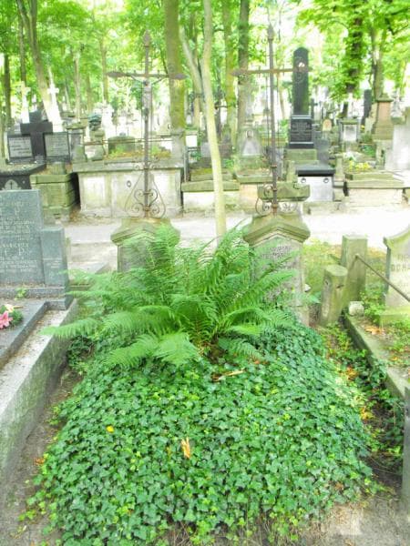 Zdjęcie grobu: Władysław Sieniawski