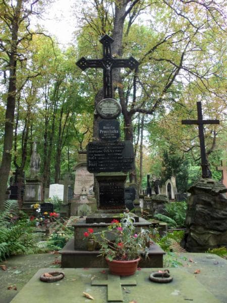 Zdjęcie grobu Ignacy Maliszewski (2)