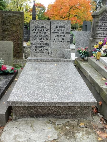 Zdjęcie grobu: Konstanty Afajew