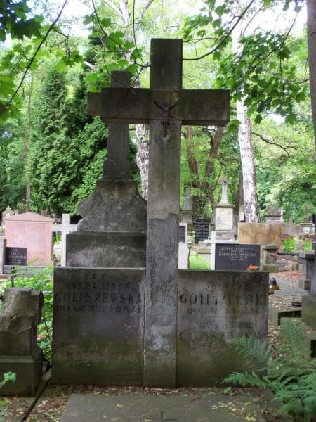 Zdjęcie grobu Ignacy Goliszewski (2)