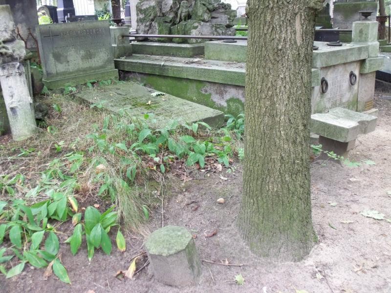 Zdjęcie grobu Eugeniusz Młodowski (1)