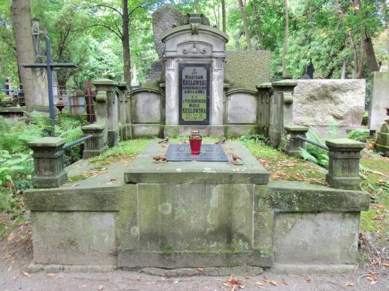Zdjęcie grobu: Władysław Kozłowski