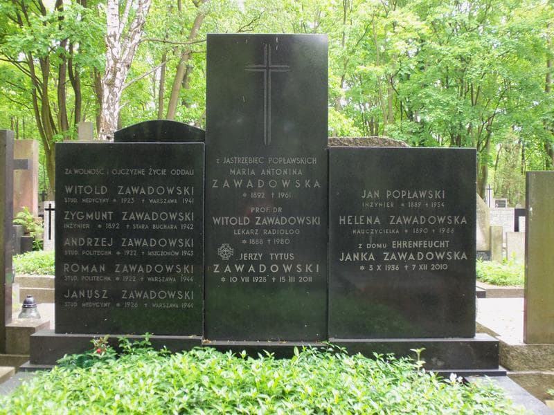 Zdjęcie grobu Zygmunt Zawadowski (2)