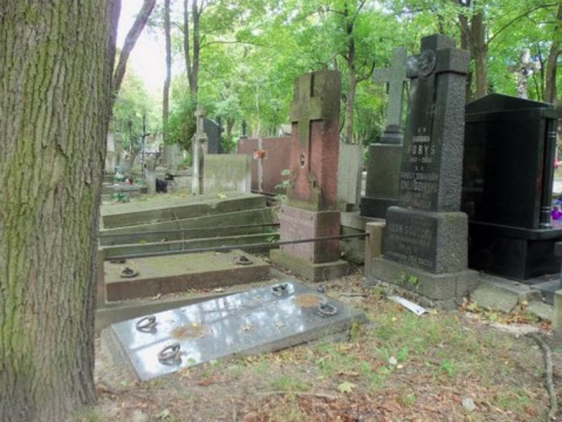 Zdjęcie grobu Anna Chludzińska (1)