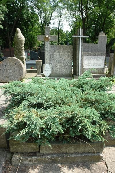 Zdjęcie grobu Helena Janaszkiewicz (1)