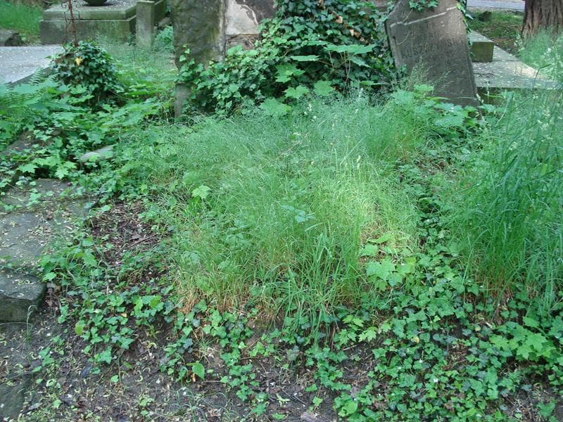 Zdjęcie grobu: Pole Grobowe