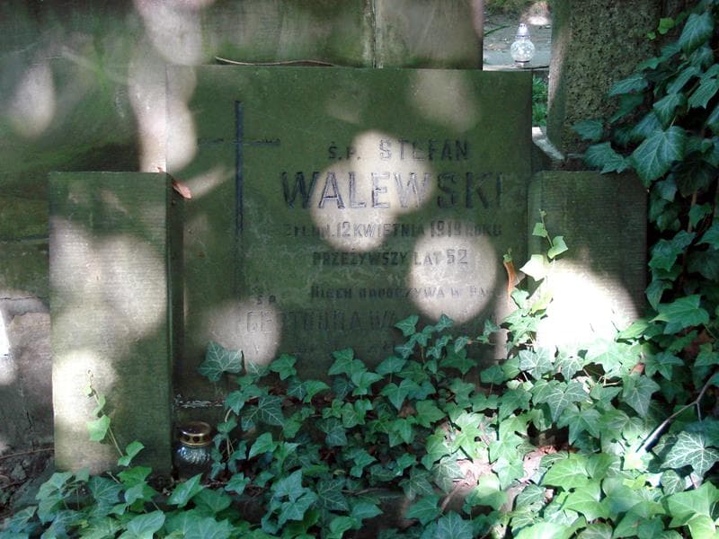 Zdjęcie grobu Stefan Walewski (1)