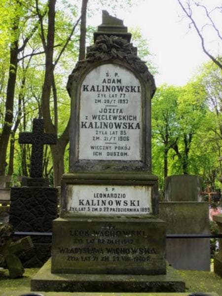 Zdjęcie grobu Aleksander Wachowski (2)