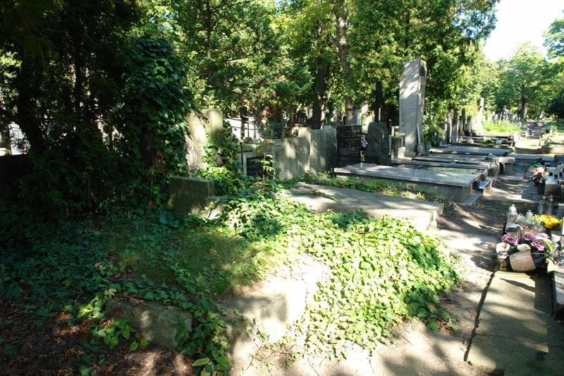 Zdjęcie grobu Albin Krzysztof Pietras-Kiesiacki (1)