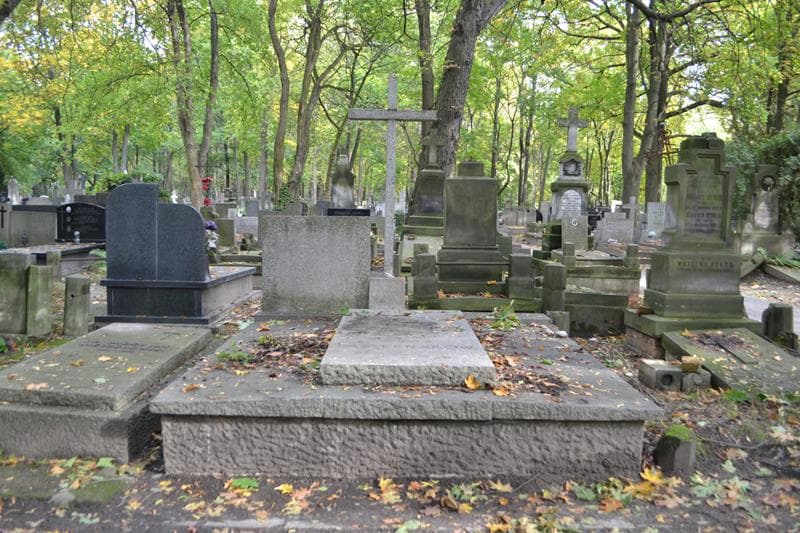 Zdjęcie grobu Pasternakowie (1)