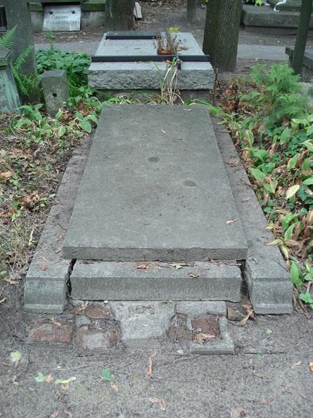 Zdjęcie grobu Mierzejewscy (1)