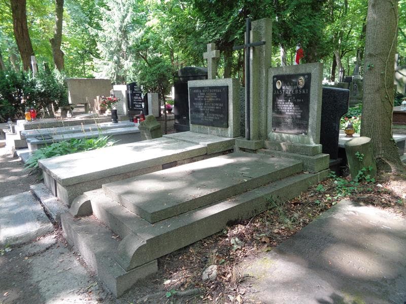 Zdjęcie grobu: Władysław Jastrzębski