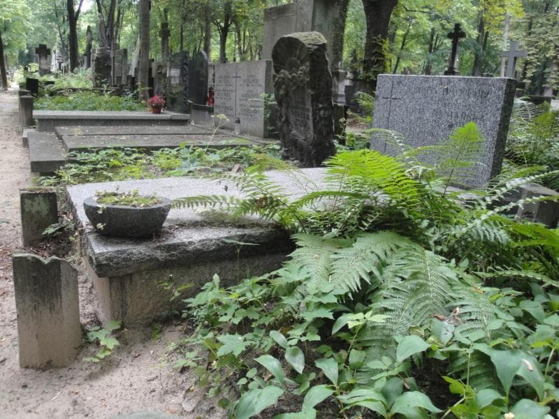 Zdjęcie grobu Augustyn Frąckiewicz (1)