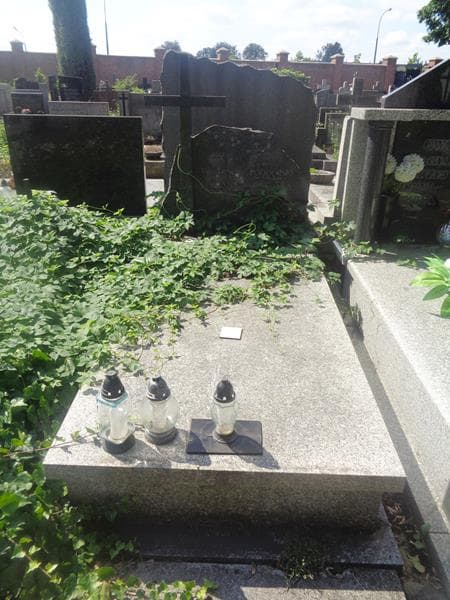 Zdjęcie grobu Władysław Podgórski (1)