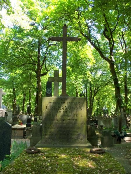 Zdjęcie grobu Władysław Kazimierz Ciechanowski (2)
