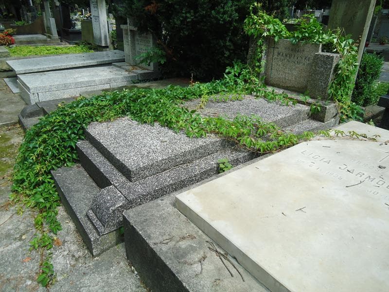 Zdjęcie grobu Romuald Mandelski (1)