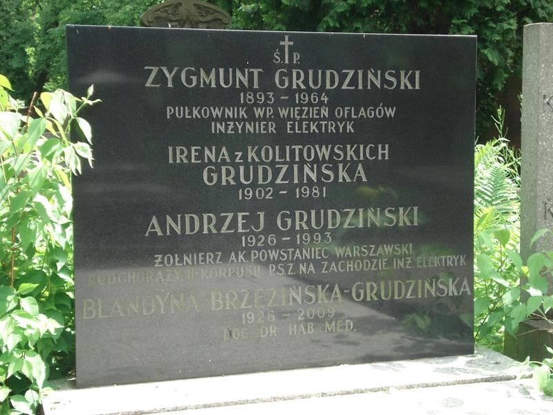 Zdjęcie grobu Blandyna Brzezińska-Grudzińska (2)